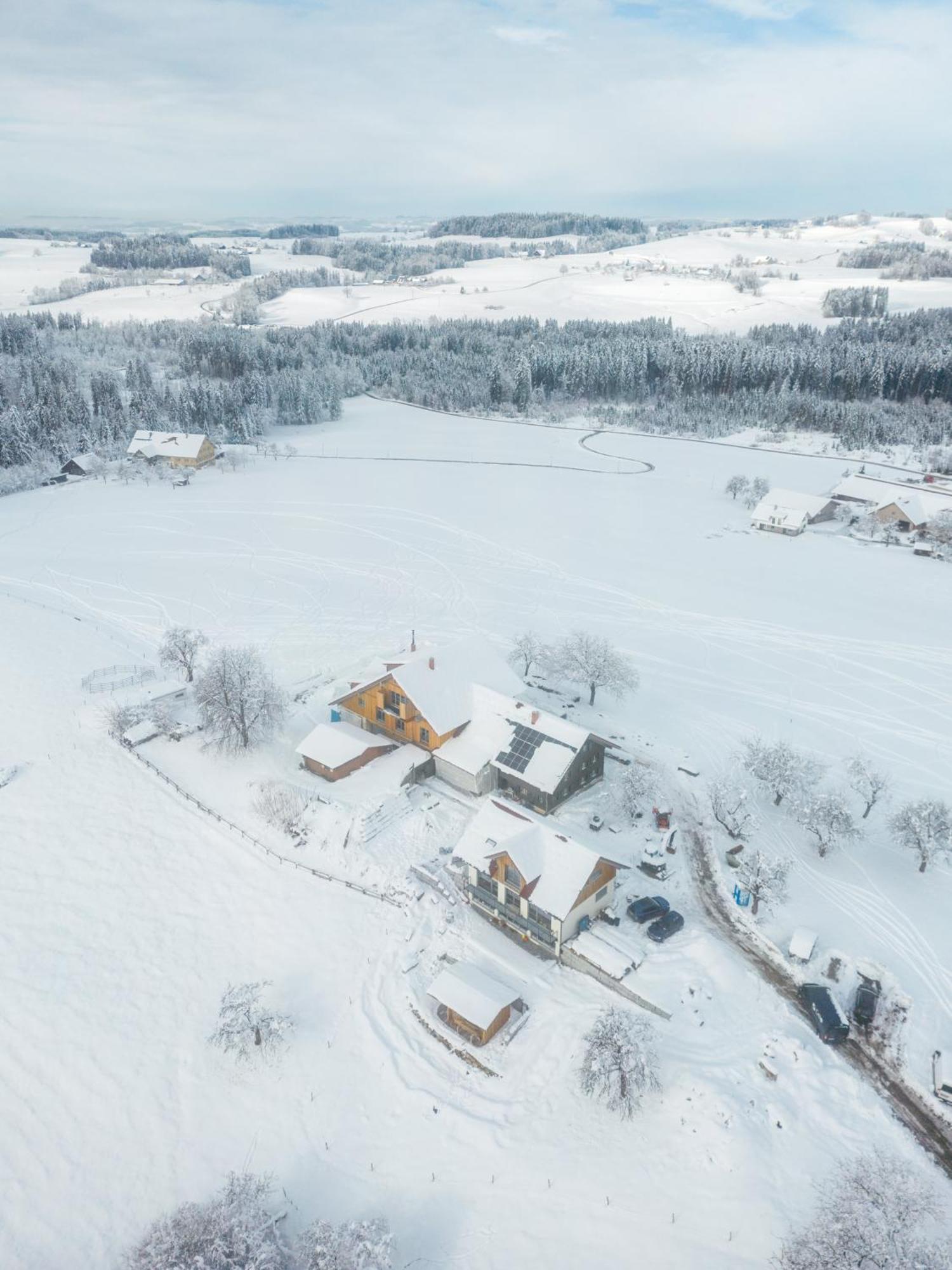 Heimatel - Ferienappartements Hochberg Argenbuhl Exteriör bild