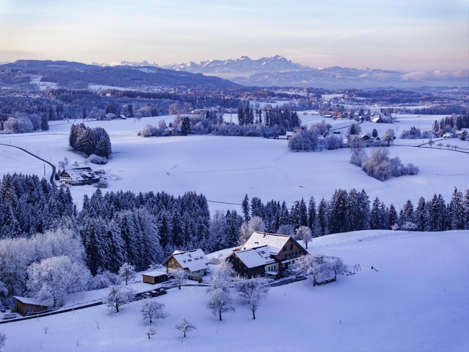 Heimatel - Ferienappartements Hochberg Argenbuhl Exteriör bild